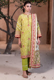 Zellbury WUW24E30535 Winter Collection 2025