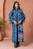 Adan Libas  Slub 7754 Winter Collection 2025