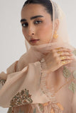 Zara Shahjahan ZHC-049 Hand Crafted Vol II 2024