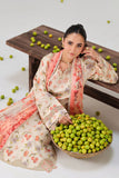 Ramsha N-805 Rangrez Lawn Collection 2026