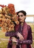 Hussain Rehar Jamni Khaddar Collection 2025