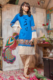 Zahra Ahmed Morni Luxury Pret 2020