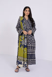 Sapphire U2 PP22V8 4 1 S 2 Piece - Printed Khaddar Suit Winter Vol 1 2022