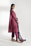 Sapphire U3 DY22V8 11 1 3 Piece - Printed Khaddar Suit Winter Vol 1 2022