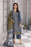 Rangrasiya Zahabia Florence Slub Linen Shawl