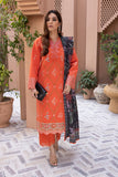 Rangrasiya Dilara Karandi Shawl Collection