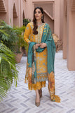 Rangrasiya Hazel Karandi Shawl Collection