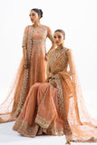 Sana Safinaz N231-008-CT Nure Festive Collection