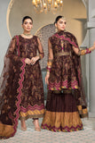 Alizeh Fashions Rajwari Vasl E Meeras Chiffon Collection 2022