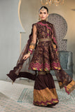 Alizeh Fashions Rajwari Vasl E Meeras Chiffon Collection 2022
