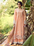 Image Narges Lawnkari 2,021