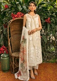 Saira Shakira Calla Lily Amaryllis 2022