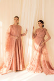 Alizeh D09 Peach Rang E Mehr Vol 14