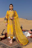 Charizma CSS23-02 Dasht