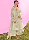 Saira Shakira Hydrangea Amaryllis 2022