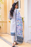 Alzohaib AKC-23-04 An Kahi Printed Collection