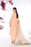 Nishat Linen 42201489 Light Peach Mid Summer 2022