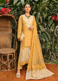 Saira Shakira Everlasting Daisy Amaryllis 2022