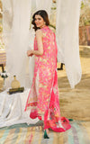 Asifa N Nabeel Anika Meraki Summer Vol-1 2024