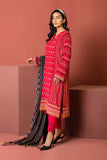 LSM Lakhany DEC-SA-0139 Winter Dareechay Collection Vol 1 2022