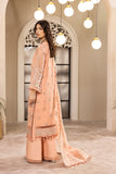 Alizeh Aansha Dhaagay Chiffon Collection