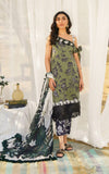 Asifa N Nabeel Darcy Meraki Summer Vol-1 2024