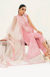 Mariyum N Maria Pink Blush (MLFD-124) Amaya Wedding Collection