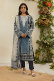 Dhanak DU-3136 Grey Embroidered Lawn Everyday Basics Lawn Collection