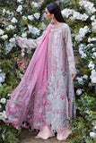 Tabbassum Mughal Blushy Rose Meeras Wedding Edition