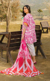 Asifa N Nabeel Fia Meraki Summer Vol-1 2024