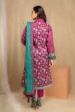 Lakhany D#6 Komal Prints 3 Piece