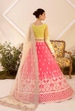 Akbar Aslam Meyer Nyra Summer Chiffon Collection