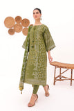 Alkaram JC 05 23 Olive Green Jaquard Cotton Collection