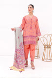 Alkaram JC 10 23 Peach Jaquard Cotton Collection