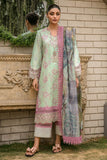 Rangrasiya Raya Florence Summer Edition