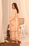 Asifa And Nabeel RTW-EMB-04 Basics With Embroidery Prets