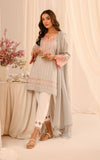 Asifa And Nabeel RTW-EMB-06 Basics With Embroidery Prets