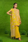 Alkaram Studio SS-20-23-2-Lime-green Summer Lawn Vol 2