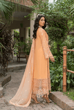 Zebtan ZL-1-Peach Luxury Lawn Collection