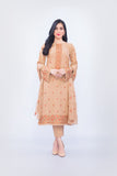 Bareeze Ethnic Art Mc581 Brown Dress