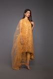 Bareeze Passion Range Bnl706 Mustard Dress