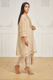 Dhanak DL-0217 Beige Luxury Pret
 2024