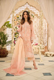 Dhanak DL-0256 Orange Luxury Pret
 2024