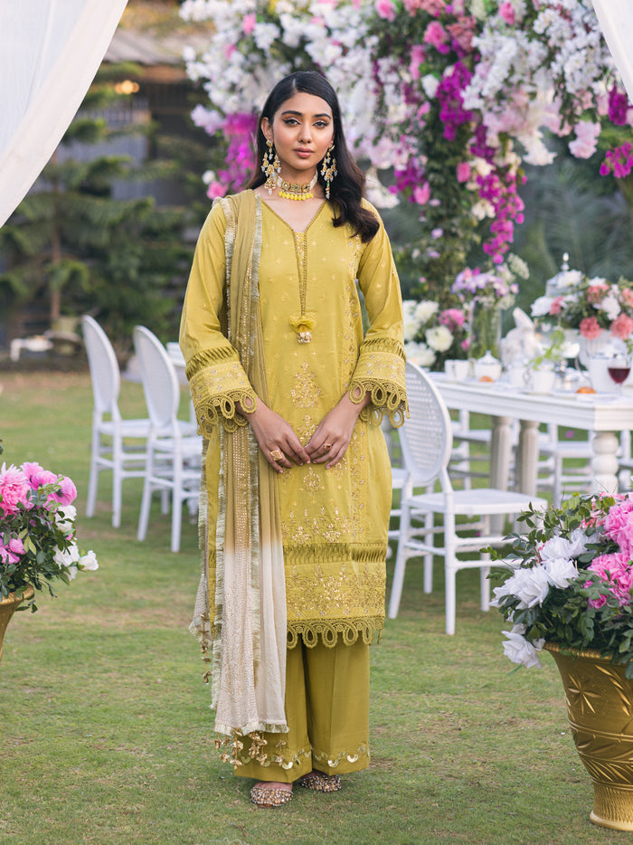 Salitex WK-01089BUT Oznur Mukesh Collection