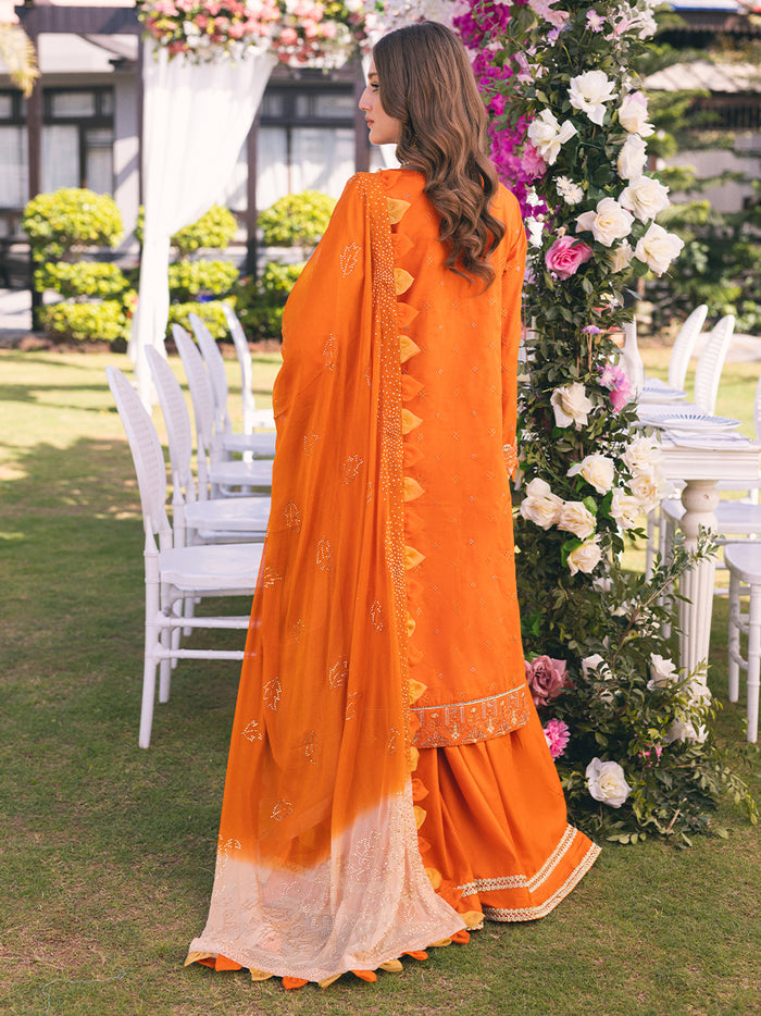 Salitex WK-01088BUT Oznur Mukesh Collection