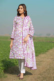 Gul Ahmed CL-32359 B Summer Lawn